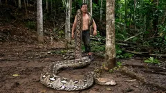 Il serpente più lungo del mondo è stato trovato in Indonesia: com’è fatto e quanto pesa la detentrice del record