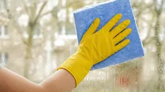 Come pulire le finestre questa primavera affinché brillino di pulizia fino all'autunno inoltrato