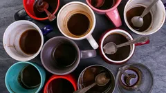 Riportali al loro aspetto originale: come rimuovere facilmente le macchie di tè da tazze e thermos