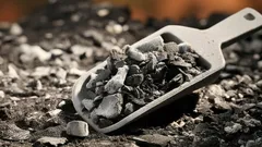 Qual è il miglior fertilizzante per le piante: ricordate questo trucco dei giardinieri esperti