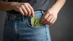 Perché alcune persone, anche quelle che non credono nelle superstizioni, tengono una foglia di alloro in tasca?